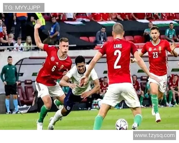 威尔士与特多激战正酣球迷期待精彩对决与精彩进球