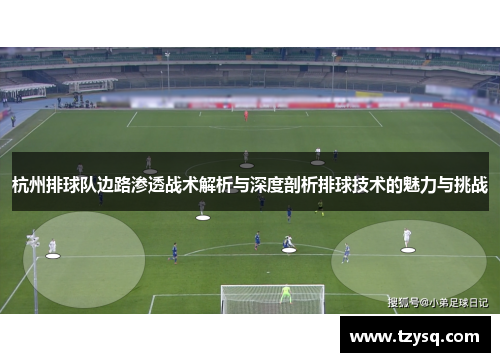 杭州排球队边路渗透战术解析与深度剖析排球技术的魅力与挑战