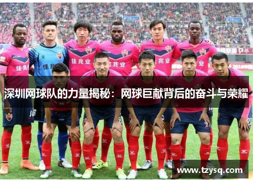 深圳网球队的力量揭秘：网球巨献背后的奋斗与荣耀