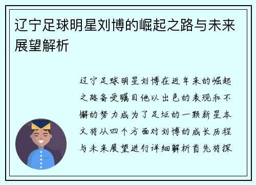 辽宁足球明星刘博的崛起之路与未来展望解析