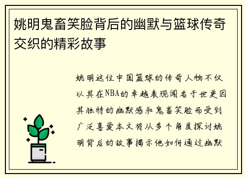 姚明鬼畜笑脸背后的幽默与篮球传奇交织的精彩故事