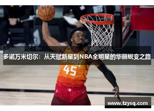 多诺万米切尔：从天赋新星到NBA全明星的华丽蜕变之路
